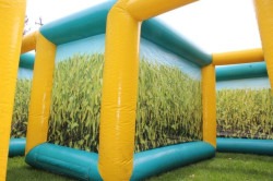 corn2 1749753733 Corn Maze